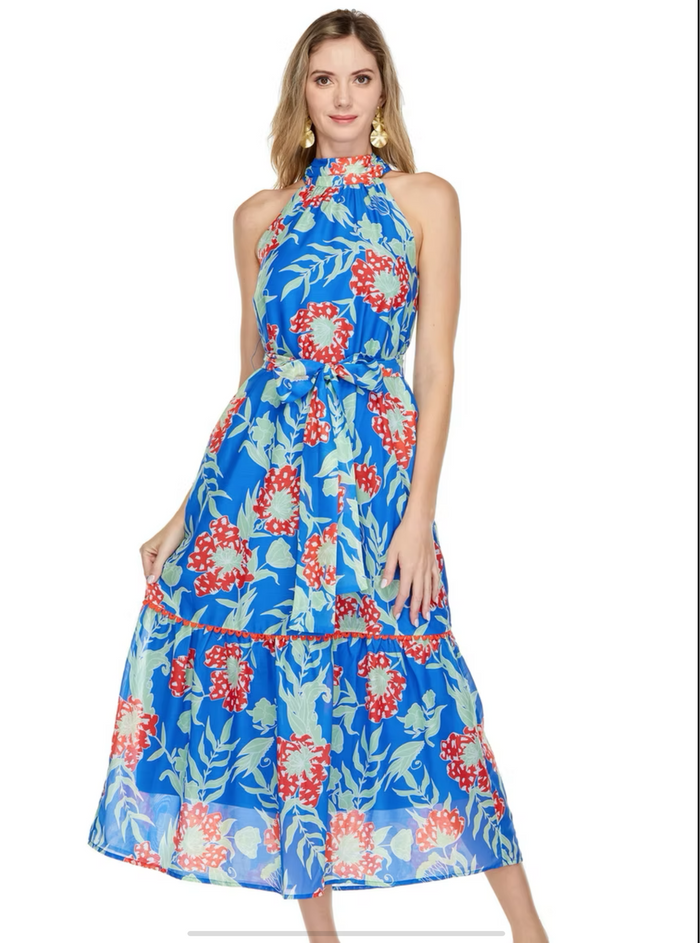 Jade Royal Red Maxi
