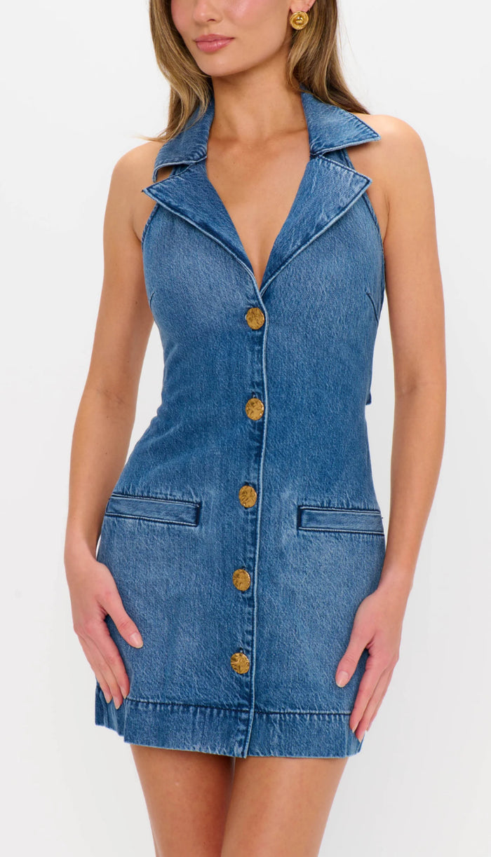 Show Me Your MuMu Darien Dress