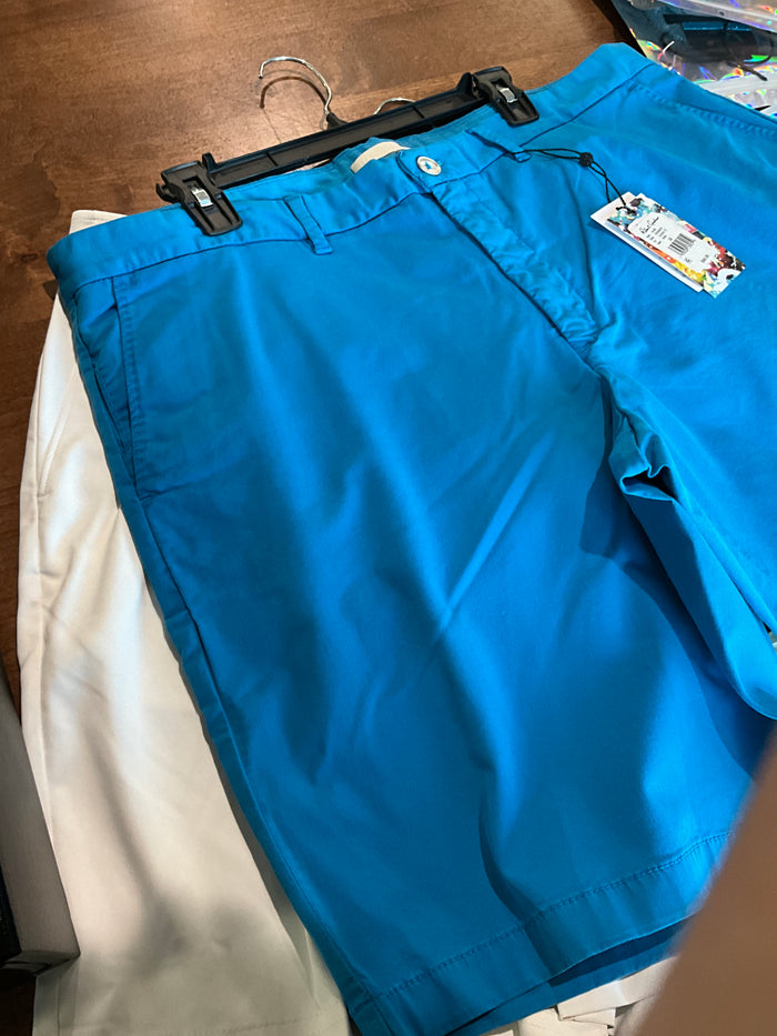 Mens Robert Graham Shorts- Blue