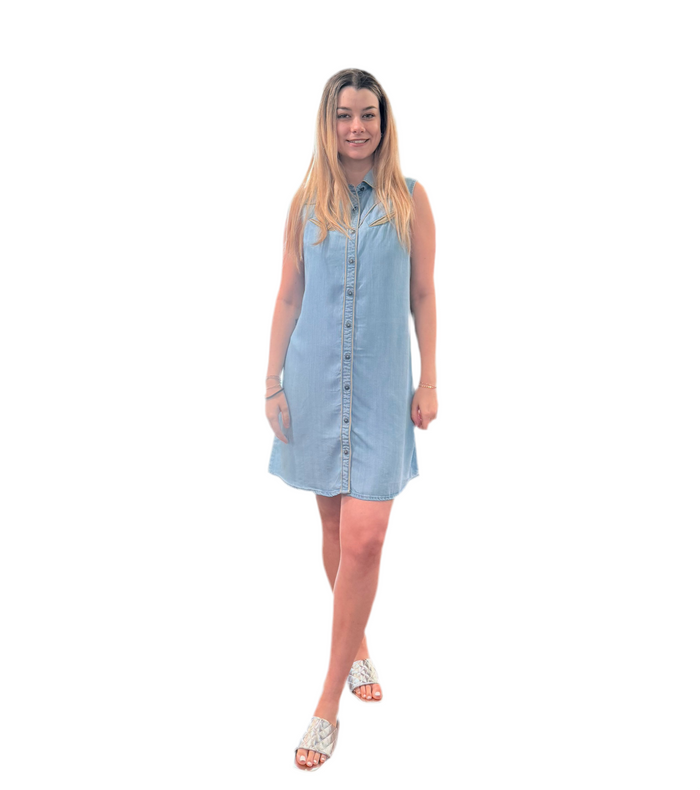 Tasha Polizzi Adalyn Denim Dress