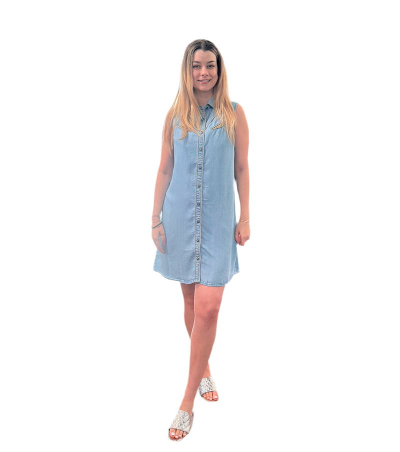 Adalyn Denim Dress