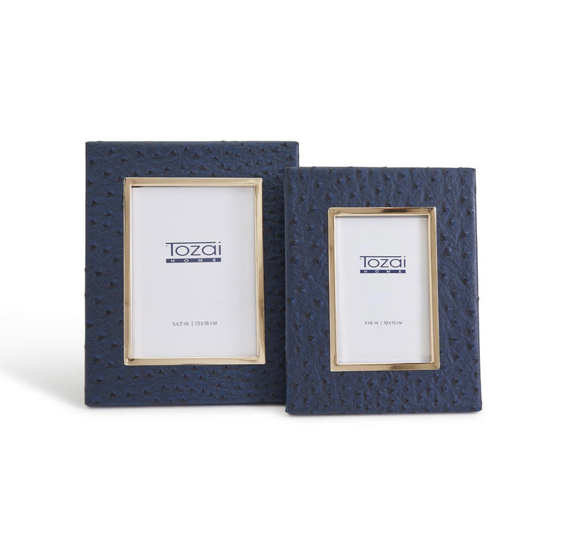 Navy Ostrich 4x6 Photo Frame