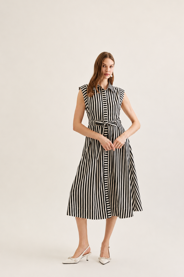 Monroe Striped Belted Dress