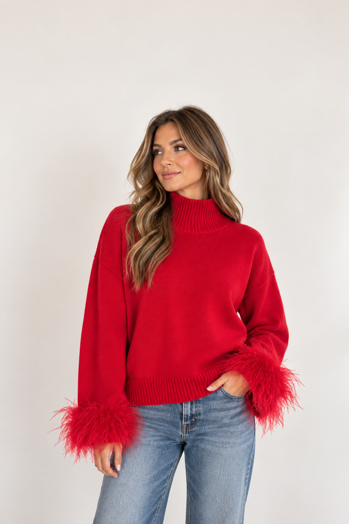 Clark Feather Trim Sweater