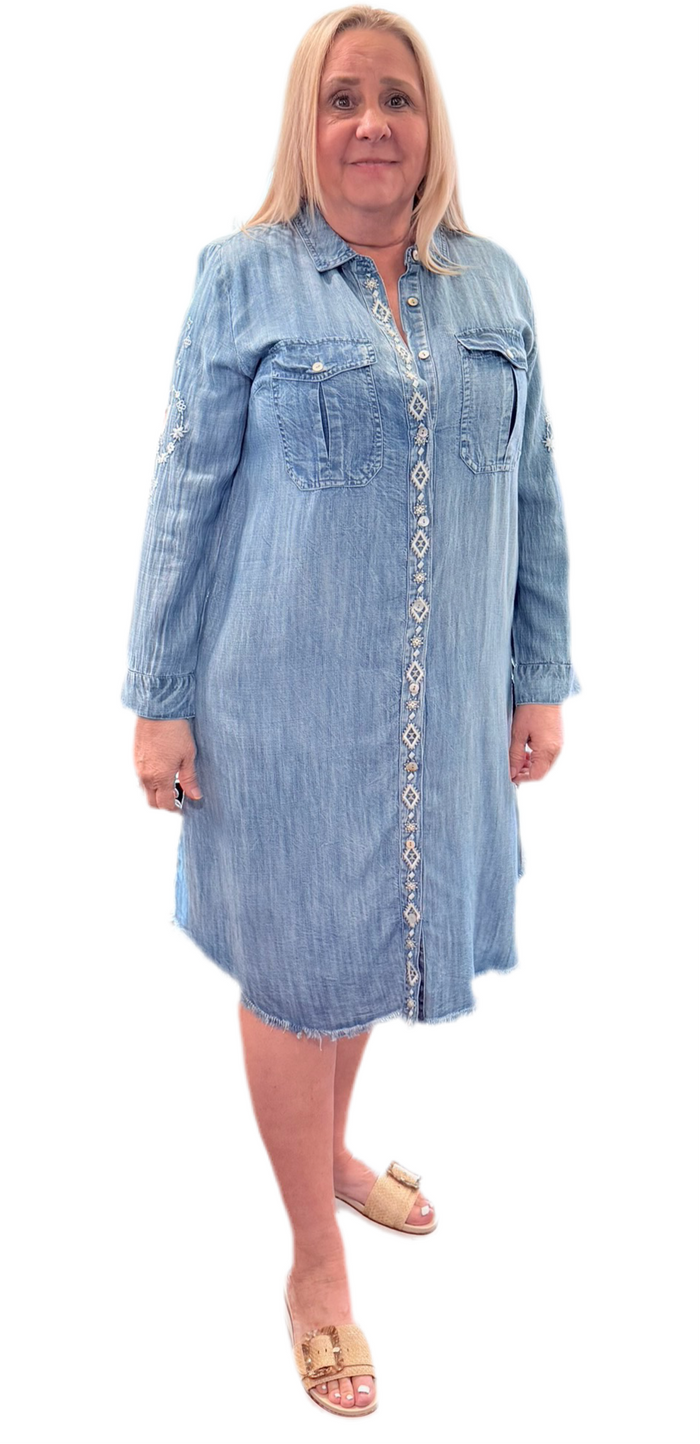 Kyla Seo Isa Long Sleeve Denim Dress