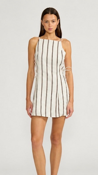Aurelia Brown Stripe Dress