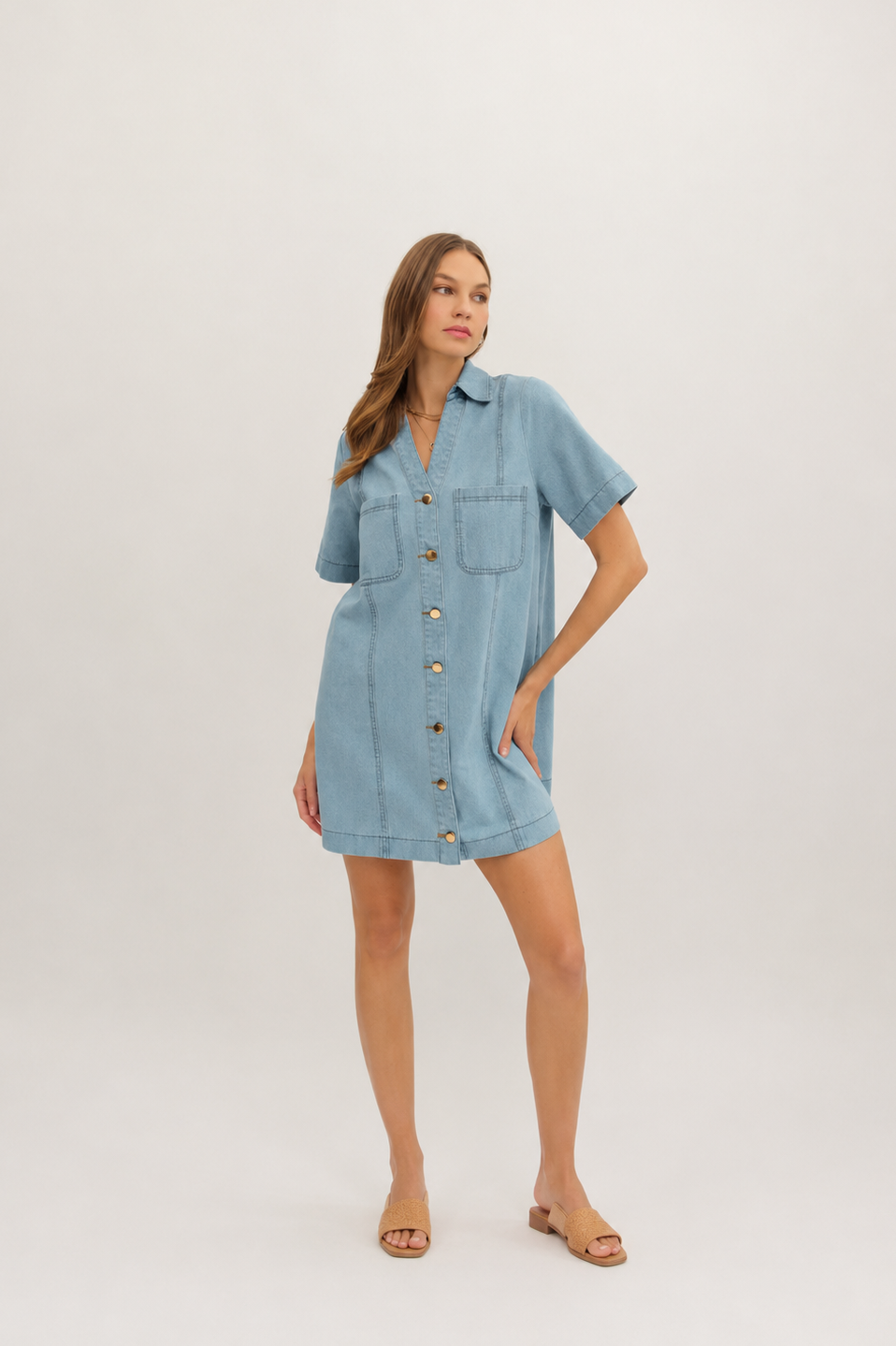 Simple + Sweet Denim Shift Dress