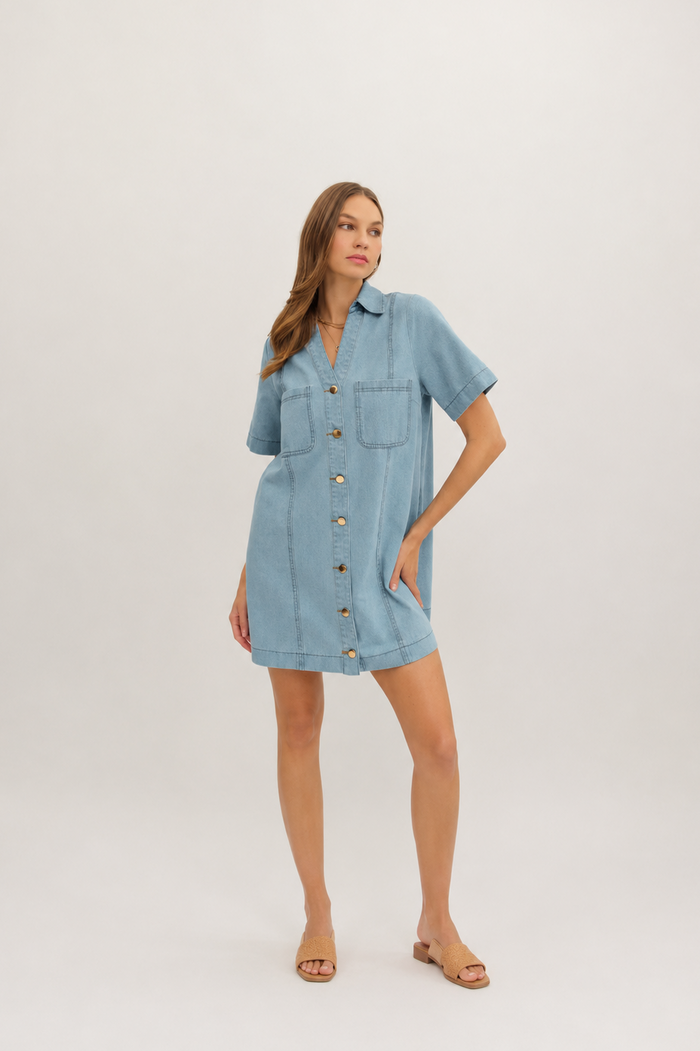 Simple + Sweet Denim Shift Dress