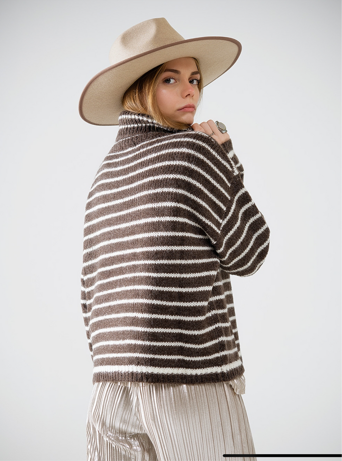 Soft Knit Striped Turtleneck Sweater - Brown