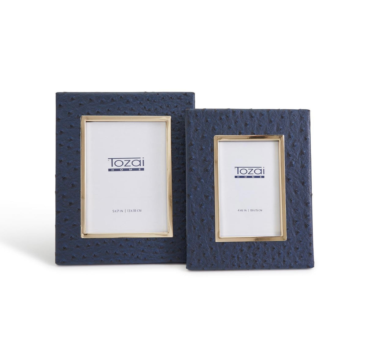 Navy Ostrich 5x7 Photo Frame