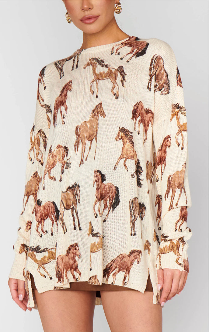 Show Me Your MuMu- Wild Horse Bonfire Sweater